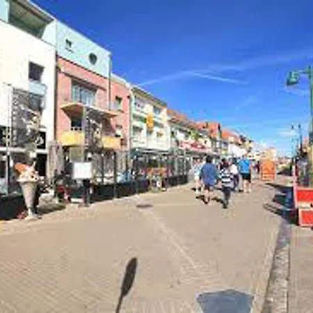 Studio A 240m De La Plage De - Rdc, Tv, Parking, Petits Animaux Admis - Fr-1-730-49 Apartamento *